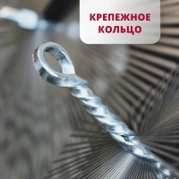 Щетка с креплением кольцо 250 мм, гайка 12x1.75 мм, сталь РОССТИН НФ-00000330