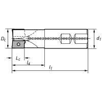 Корпус фрезы N200.D32/Z4 NORGAU 022200032
