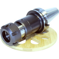Оправка BT50-TER25-120 PROSAERS 32095