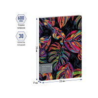 Папка с 30 вкладышами Berlingo Neon Paradise, 17 мм, 600 мкм, с внутр. карманом, с рисунком DB4_30081
