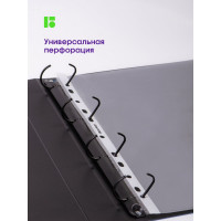Папка-вкладыш с перфорацией Berlingo, 100 шт в упаковке, А4, 30 мкм, глянцевая S1000