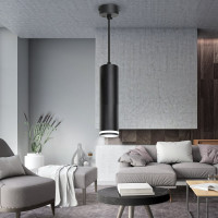 Подвесной светильник ЭРА PL16 BK MR16/GU10, черный, потолочный, цилиндр Б0055574