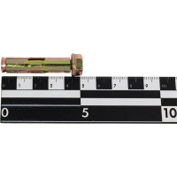 Анкерный болт с гайкой МЕТАЛЛСЕРВИС М10x50 1 шт. 1227250