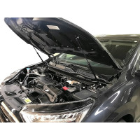 Упоры капота для HONDA CR-V, 2017-, 2 шт ARBORI HD.014101