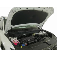 Упоры капота для HYUNDAI Tucson (NX4), 2021-, 2 шт ARBORI HD.016103