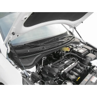 Упоры капота для HYUNDAI Solaris (HCR PE), 2020-, 2 шт ARBORI HD.016102