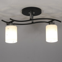 Потолочный светильник ЭЛЕТЕХ Стиль 121 черн.(Плафон 8498) НПБ 01-2x60-123 Е27 [ИМ] 1005405037