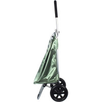 Сумка-тележка Joy Home FLEXI, зеленая 10275