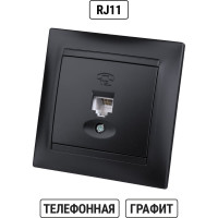 Розетка телефонная RJ11 графит "Лама" TDM ELECTRIC SQ1815-0615