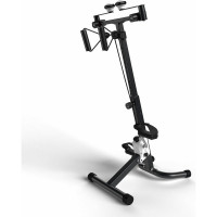 Двойной велотренажер DFC dual bike B810W