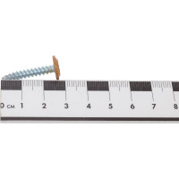 Саморез с прессшайбой Daxmer ПШ 4,2x25 острый, 500 шт., золотой дуб 00000346363