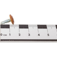 Саморез Daxmer с прессшайбой ПШС 4,2x13 сверло Орех 1000 шт 00000346329