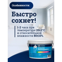 Колерованная краска Goodhim S D2 RAL 060 50 05, моющаяся, водно-дисперсионная, акриловая, 7 кг 52013
