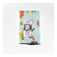 Защита спинки сиденья SKYWAY ПВХ frontlit мультяшные динозаврики фон S06101039