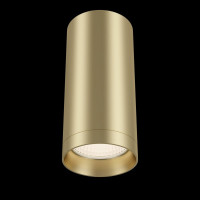 Потолочный светильник MAYTONI Focus 1xGU10x50W C010CL-01MG