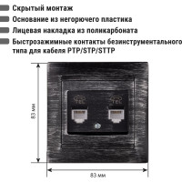 Розетка двойная телефонная RJ11 TDM ELECTRIC старинное серебро, серия "Лама" SQ1815-0659