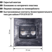 Розетка телефонная RJ11 + компьютерная RJ45 TDM ELECTRIC старинное серебро, серия "Лама" SQ1815-0660