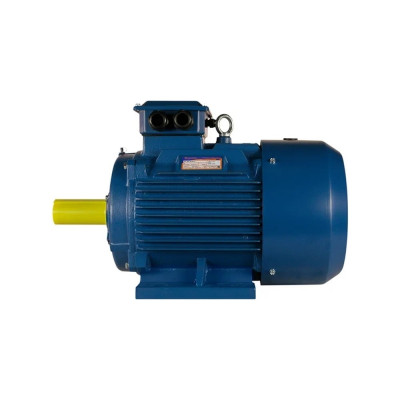 Электродвигатель 5АИ 225 М4 55/1500 IM 1001 01.01.213505