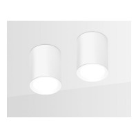 Накладной светильник Ambrella Light Techno TN215