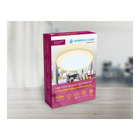 Встраиваемый светильник Ambrella Light Downlight DCR301