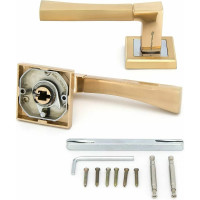 Дверная ручка Palladium A Trevi SG/GP 00011352