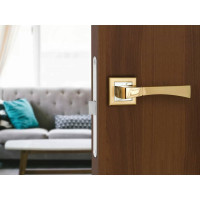 Дверная ручка Palladium A Trevi SG/GP 00011352