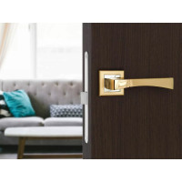 Дверная ручка Palladium A Trevi SG/GP 00011352