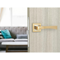 Дверная ручка Palladium A Trevi SG/GP 00011352