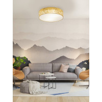 Накладной светильник EGLO ПРОМО Viserbella 97641