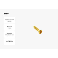 Винт для установки с силовыми, телефонными и компьютерными розетками Bironi металл, цвет золото, 10 шт./уп. B-912-31-10