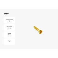 Винт для установки с силовыми, телефонными и компьютерными розетками Bironi металл, цвет золото, 10 шт./уп. B-912-31-10