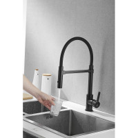 Смеситель для кухни ROSE с гибким изливом и магнитным держателем, черный R133H