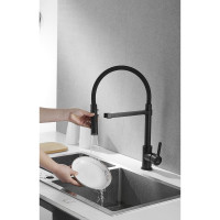 Смеситель для кухни ROSE с гибким изливом и магнитным держателем, черный R133H