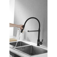 Смеситель для кухни ROSE с гибким изливом и магнитным держателем, черный R133H