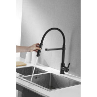 Смеситель для кухни ROSE с гибким изливом и магнитным держателем, черный R133H