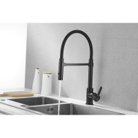 Смеситель для кухни ROSE с гибким изливом и магнитным держателем, черный R133H