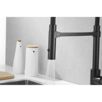 Смеситель для кухни ROSE с гибким изливом и магнитным держателем, черный R133H