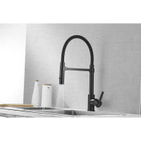 Смеситель для кухни ROSE с гибким изливом и магнитным держателем, черный R133H