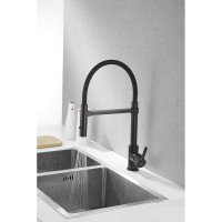 Смеситель для кухни ROSE с гибким изливом и магнитным держателем, черный R133H