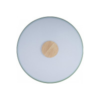 Накладной светильник LOFT IT Axel 2 10003/24 Green