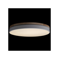 Накладной светильник LOFT IT Axel 10001/36 White