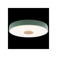 Накладной светильник LOFT IT Axel 2 10003/24 Green