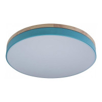 Накладной светильник LOFT IT Axel 10001/36 Blue