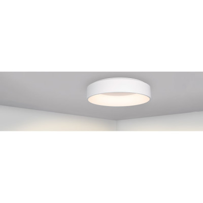 Светильник Arlight SP-TOR-RING-SURFACE-R460-33W Day4000 221341