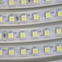 Светодиодная лента truEnergy 7w/m 6000k 220v smd4040 100d ip65 600lm/m 100м 20001