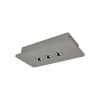 Накладной светильник LOFT IT Architect OL1072-GH/2