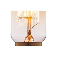 Лампа накаливания LOFT IT Edison Bulb E27 40Вт 9540-SC