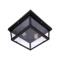 Накладной светильник LOFT IT Modern Filament LOFT3110-2C