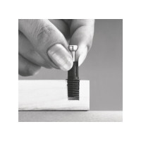 Болт Hafele Minifix C100 B24/11.5/8 мм 262.09.202
