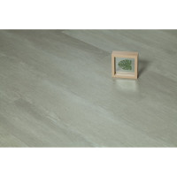 Виниловый пол Tarkett Funky House Click SPC Cruse, 0.3 мм, 195x1220x3.85 мм м 537054